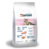 Ontario Cat Kitten - 2